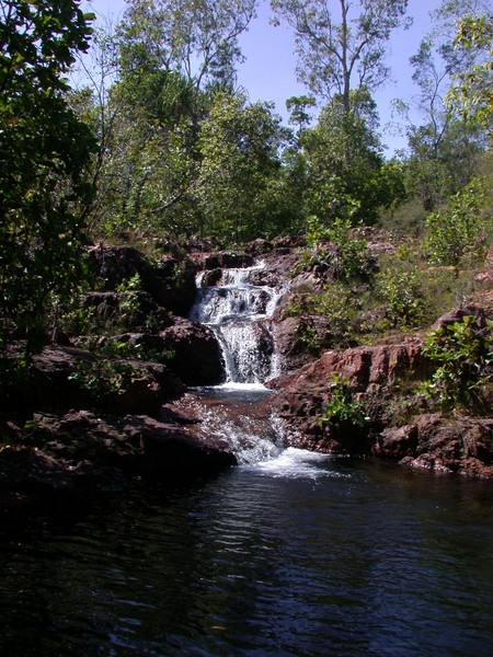 Walker Creek